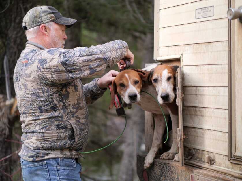 How I Killed A Bear With A BB Gun