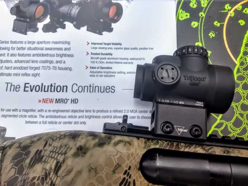 Jake Time: A Land Filled With Rio Grande Youngsters Jake Time: A Land Filled With Rio Grande Youngsters