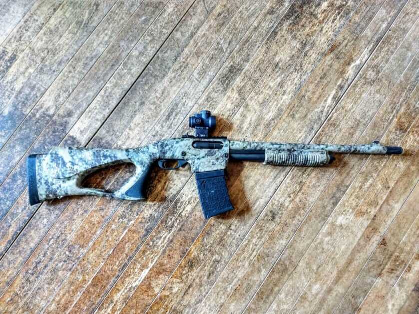 Jake Time: A Land Filled With Rio Grande Youngsters Jake Time: A Land Filled With Rio Grande Youngsters