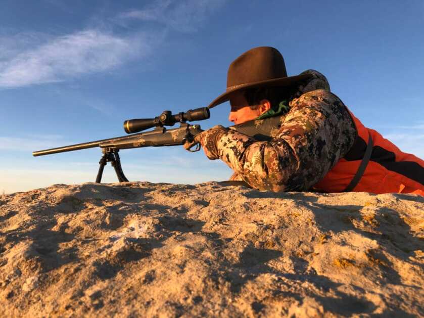 Spot and Stalk A Mule Deer Spot and Stalk A Mule Deer