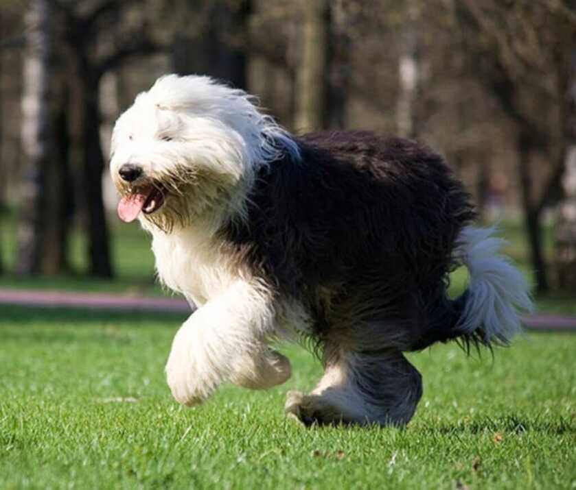 Shooter Rughi: The Right Guy, The Right Place & the Glock 19