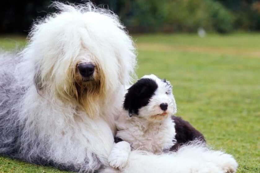 Shooter Rughi: The Right Guy, The Right Place & the Glock 19