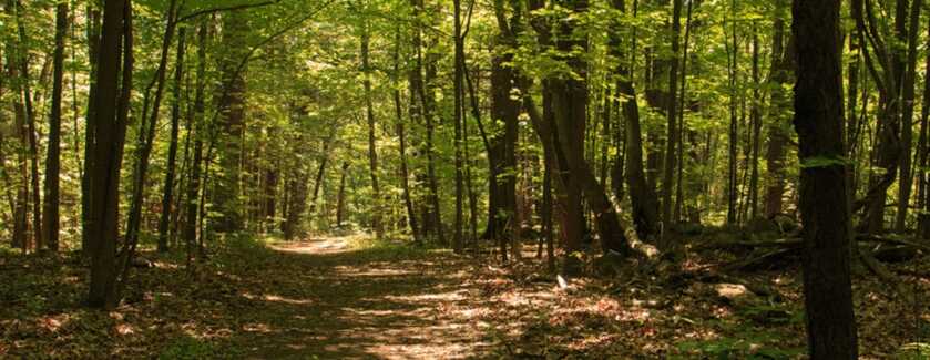 Three Headshots in Ten Minutes: Tangos Down - TacSol X-Ring w/Magpul X-22 Three Headshots in Ten Minutes: Tangos Down - TacSol X-Ring w/Magpul X-22