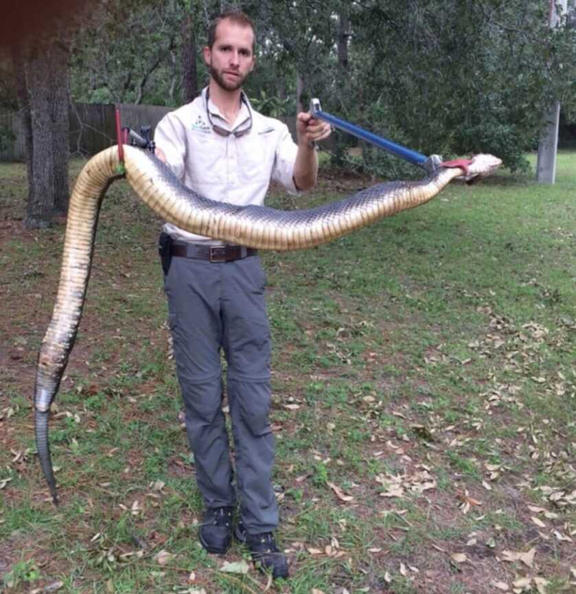 Three Headshots in Ten Minutes: Tangos Down - TacSol X-Ring w/Magpul X-22 Three Headshots in Ten Minutes: Tangos Down - TacSol X-Ring w/Magpul X-22