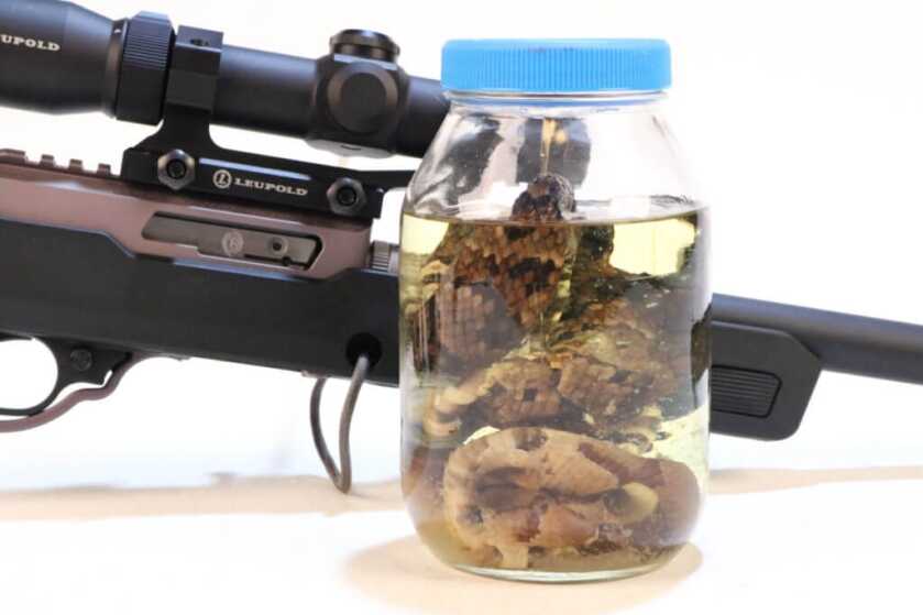 Three Headshots in Ten Minutes: Tangos Down - TacSol X-Ring w/Magpul X-22 Three Headshots in Ten Minutes: Tangos Down - TacSol X-Ring w/Magpul X-22