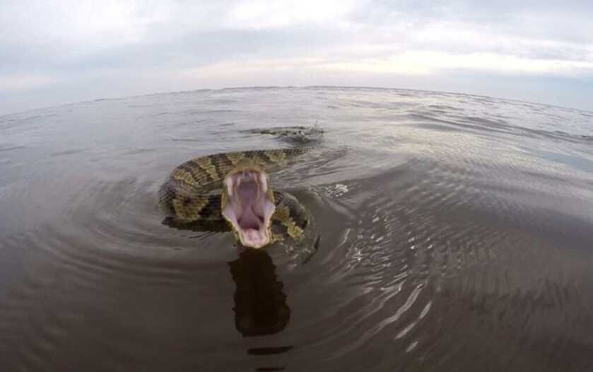 Three Headshots in Ten Minutes: Tangos Down - TacSol X-Ring w/Magpul X-22 Three Headshots in Ten Minutes: Tangos Down - TacSol X-Ring w/Magpul X-22