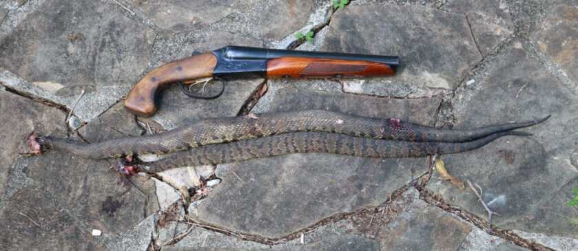 Three Headshots in Ten Minutes: Tangos Down - TacSol X-Ring w/Magpul X-22 Three Headshots in Ten Minutes: Tangos Down - TacSol X-Ring w/Magpul X-22