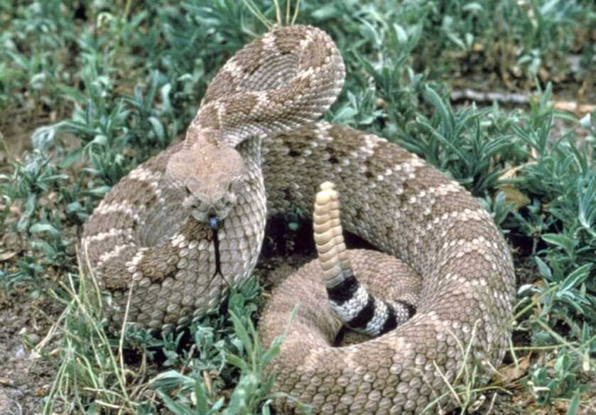 Three Headshots in Ten Minutes: Tangos Down - TacSol X-Ring w/Magpul X-22 Three Headshots in Ten Minutes: Tangos Down - TacSol X-Ring w/Magpul X-22