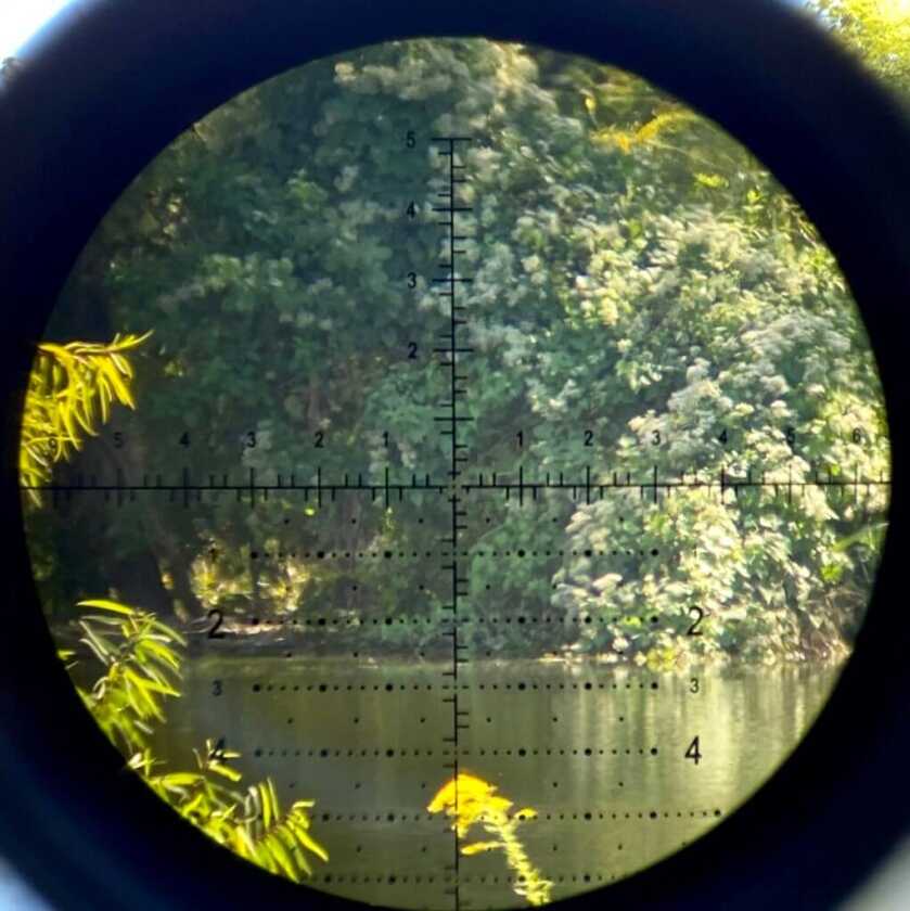 Seeing the Power of the Nightforce NX8 4-32x50 F1 Seeing the Power of the Nightforce NX8 4-32x50 F1