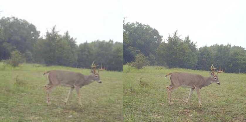 Get a Jump on Next Year’s Buck with the Fusion Wireless Trail Cam