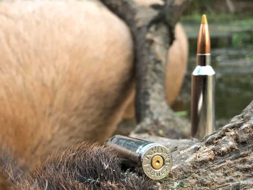 406 Inch (Official) Bull Taken with New Two-Seventy Cartridge: The 6.8 Western 406 Inch (Official) Bull Taken with New Two-Seventy Cartridge: The 6.8 Western