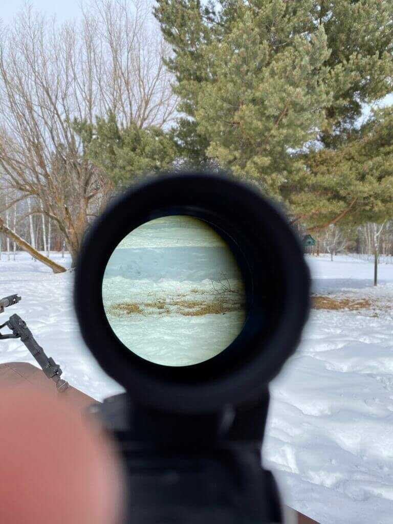 Trijicon's MRO HD & Magnifier - Review