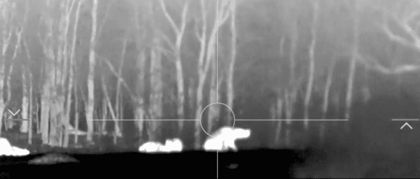 Field Testing the BogPod Death Grip Shooting Tripod (w/Video)