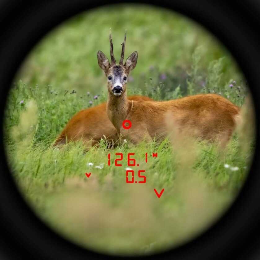 See It Far, Hit It Long: Meopta's MeoPro Optika LR 10x42 Rangefinding Binoculars