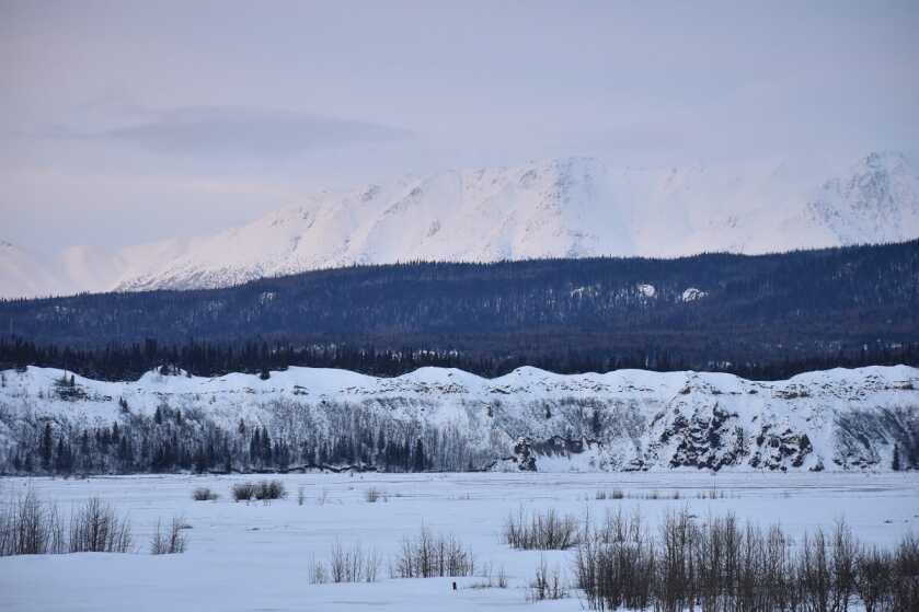 Last Frontier Bison: Hunting Alaska's Largest Land Mammal