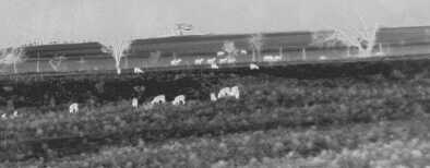 Review: Burris Thermal Imagers Review: Burris Thermal Imagers