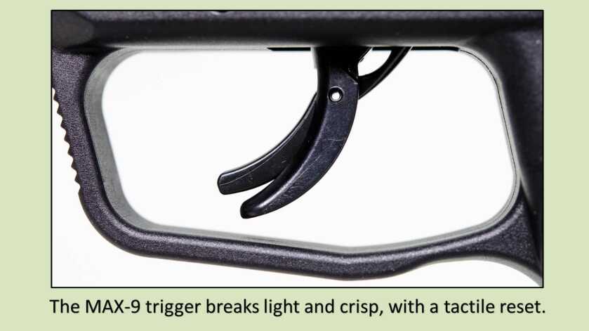 MAX Capacity + MAX Function = Ruger MAX-9