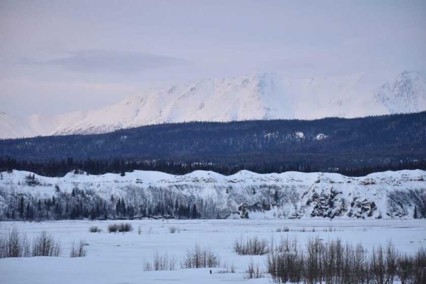 Take the Shot? A Once in a Lifetime Bison Creates an Ethical Dilemma - Presented by Springfield Armory
