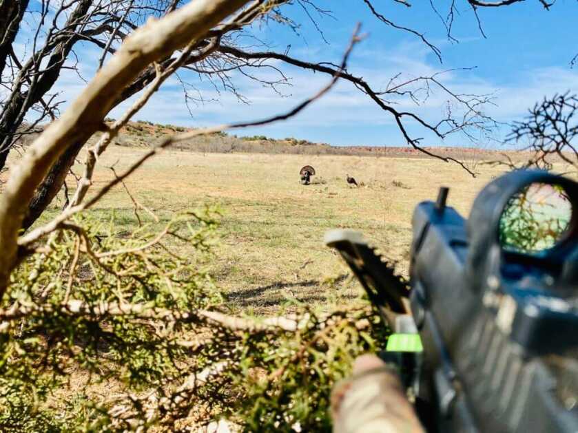 The West Texas Proving Grounds: Trijicon’s New Thermal Optics and Missing on Tom Turkeys The West Texas Proving Grounds: Trijicon’s New Thermal Optics and Missing on Tom Turkeys