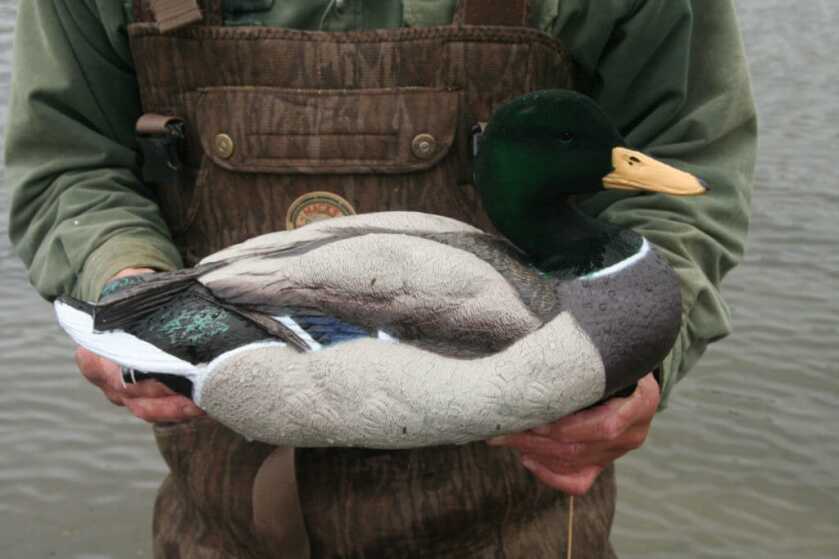 Dakota’s Packable Mallard Decoys