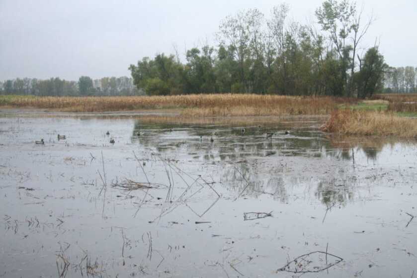 Preparing a Youth for Their First Hunt Preparing a Youth for Their First Hunt