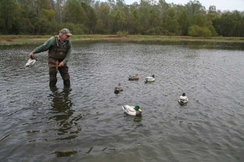 Lifetime Decoys FlexFloat Decoys Lifetime Decoys FlexFloat Decoys