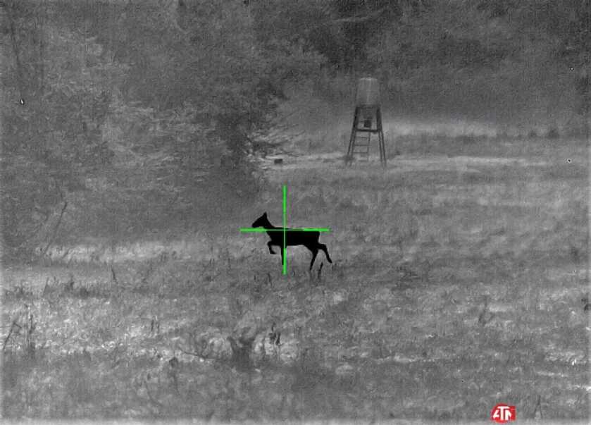 ATN ThOR 4 640- Godlike or Gimmick? Long Term Review