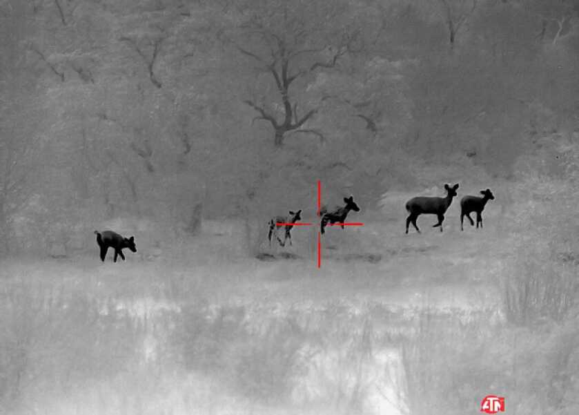 ATN ThOR 4 640- Godlike or Gimmick? Long Term Review