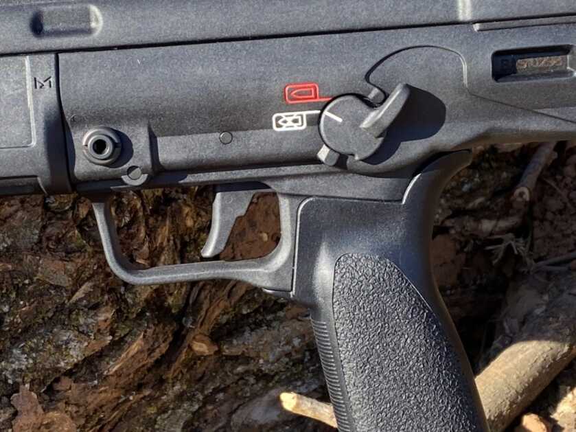 Springfield Armory Hellion - Rifle of the Year?