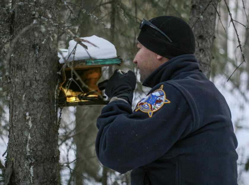 Albert Johnson: The Mad Trapper of Rat River