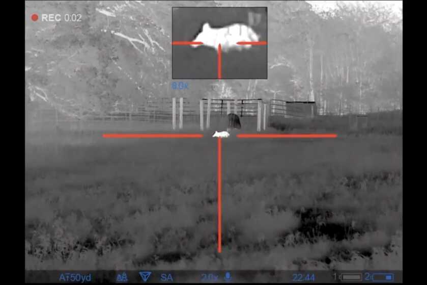 Killer Thermal Scope: Full Review of the Pulsar Thermion 2 XP50 Killer Thermal Scope: Full Review of the Pulsar Thermion 2 XP50