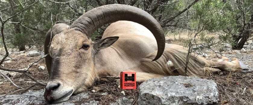 Review: Hornady Handgun Hunter Ammunition