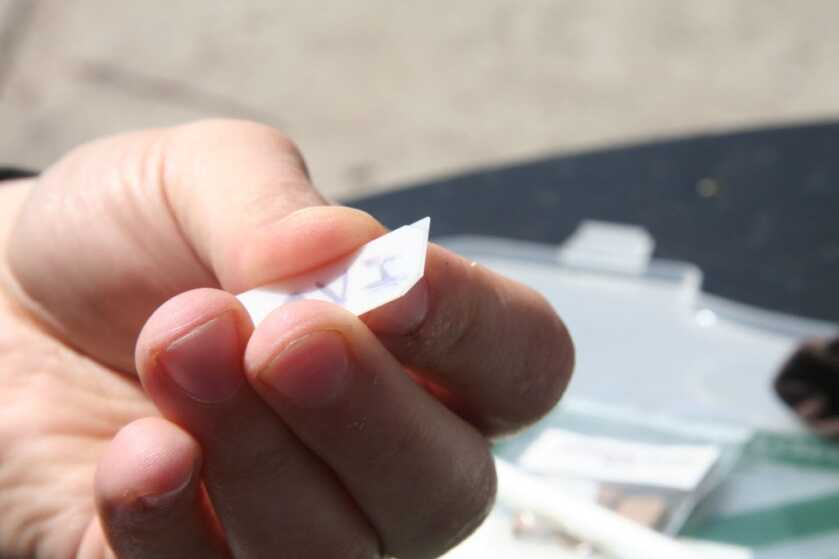 Know Your Duck Calls - How to Clean, Repair, & Rebuild Know Your Duck Calls - How to Clean, Repair, & Rebuild