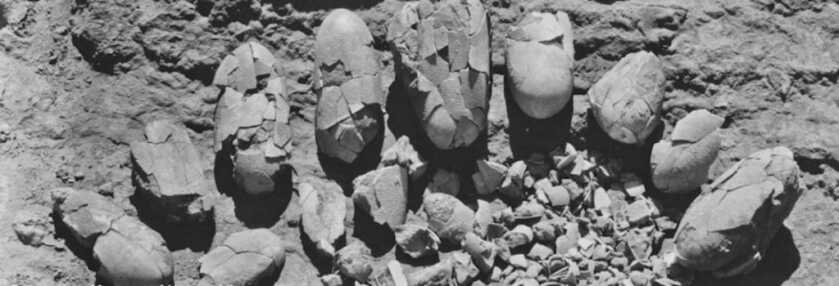 Roy Chapman Andrews: The Real-Life Raider of the Lost Ark Roy Chapman Andrews: The Real-Life Raider of the Lost Ark