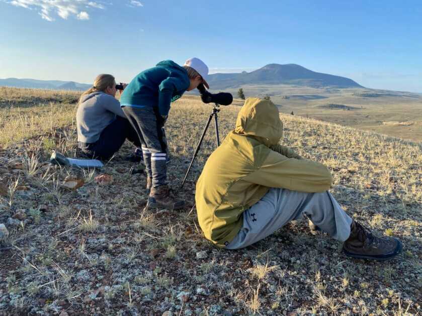 Once In A Lifetime Once In A Lifetime