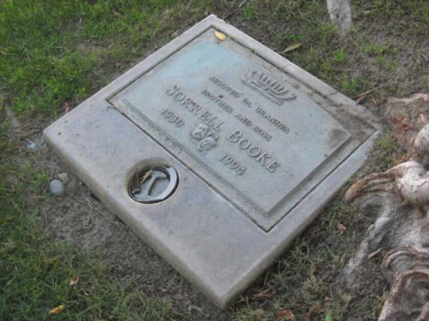 The Secret War of Sorrell Booke: Boss Hogg was a Spy