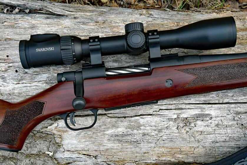 Doubling Down on Big Bears in Alberta