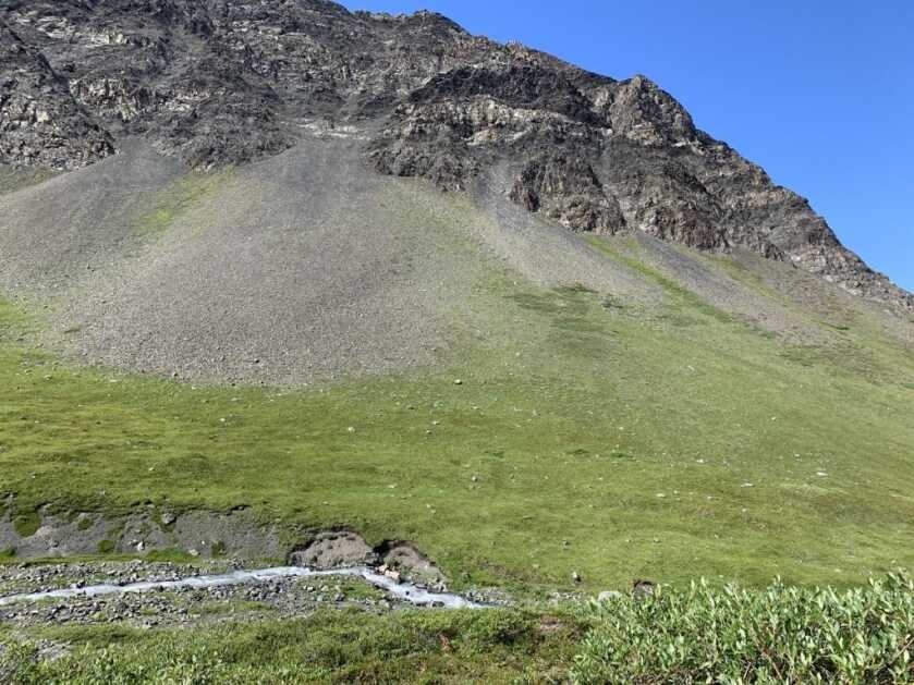 Choosing an Alpine Hunting Camp Site Choosing an Alpine Hunting Camp Site