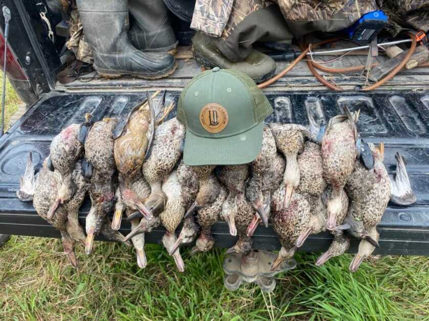 Duck Numbers for 2022 and 2023 Duck Numbers for 2022 and 2023