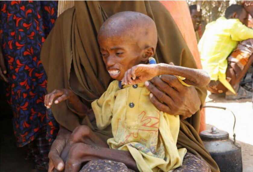 Dr. Dabbs - The Rescue of Jessica Buchanan: That One Perfect Moment