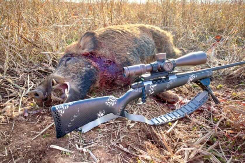 Vortex Razor HD Gen III 6-36x56 FFP Review Vortex Razor HD Gen III 6-36X56 sitting on a Weatherby Mark V set in front of a big boar that I shot