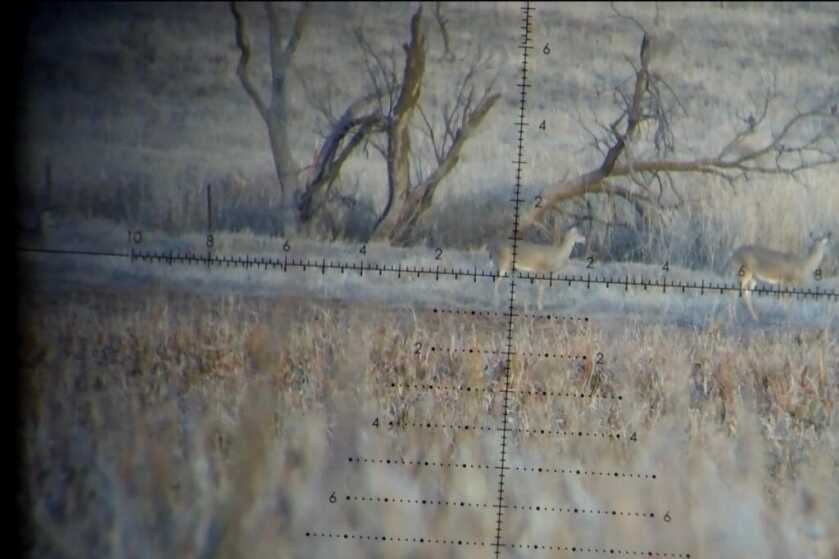 Vortex Razor HD Gen III 6-36x56 FFP Review Vortex Razor HD Gen III 6-36X56 reticle overlayed on some deer
