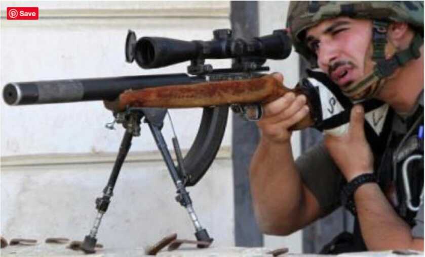 Dr. Dabbs - The .22 Rimfire's Lethality at Work & at Play