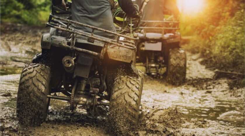 Dr. Dabbs - The .22 Rimfire's Lethality at Work & at Play