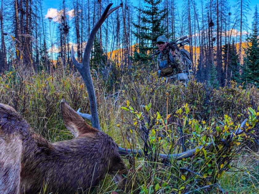 Why The Puffy? Why The Puffy?