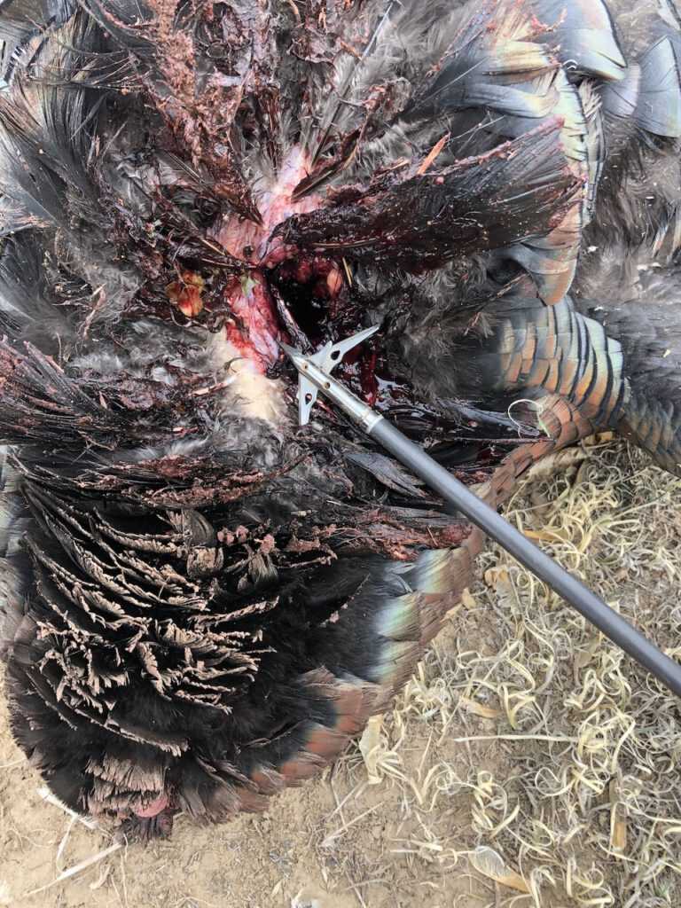 Go Expandable For Turkeys Go Expandable For Turkeys