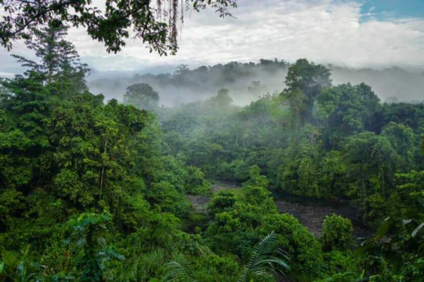 2 - Will - When America’s Ace of Aces Shot Down a Crocodile 2 - Will - When America’s Ace of Aces Shot Down a Crocodile