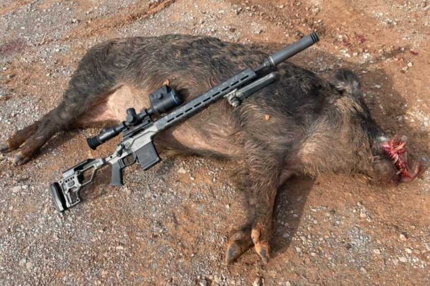 2 - Review: Christensen Arms MPR Put to the Test 387lb boar shot with the Christensen Arms MPR topped with a Pulsar Thermion 2 LRF XP50 Pro