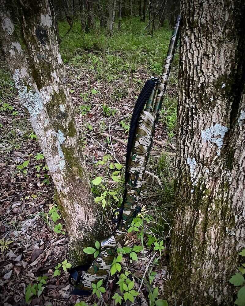 Only the black sling gives away the Optics-Ready Turkey hiding in the woods