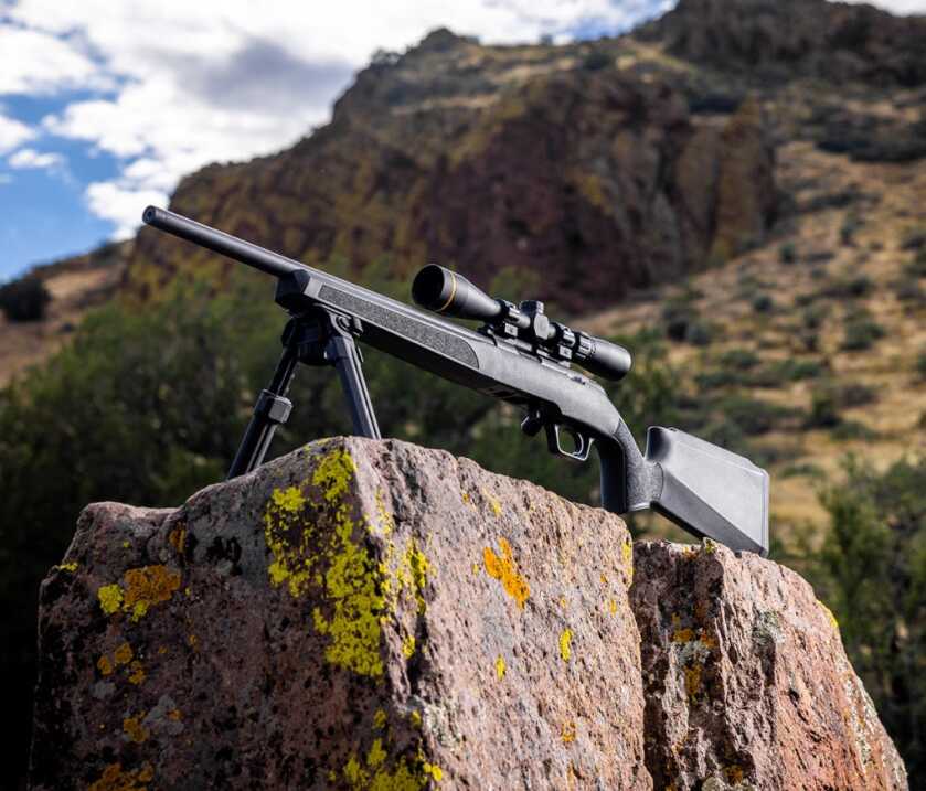 A model 2020 rimfire on a mountain.